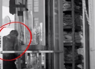 In 2 Minutes, She’ll Take You From ‘I Have No Clue’ To ‘Holy Shit, I Can’t Believe We Do This’