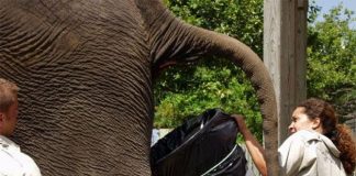 Avoiding a 9-5 is a Really Shitty Idea