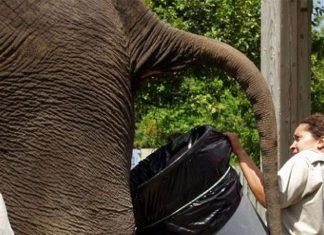 Avoiding a 9-5 is a Really Shitty Idea