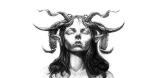 How A Walk In The Park Ended In The Psych Ward